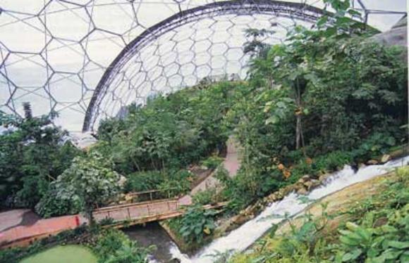 eden project photos				